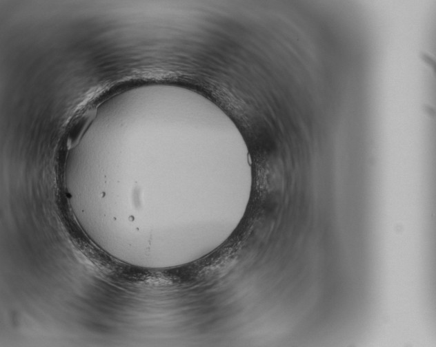 X0000096490256200802141753