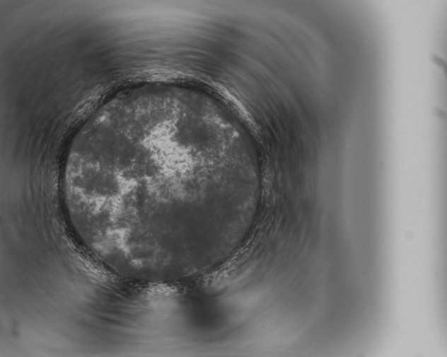 X0000096490257200802141753