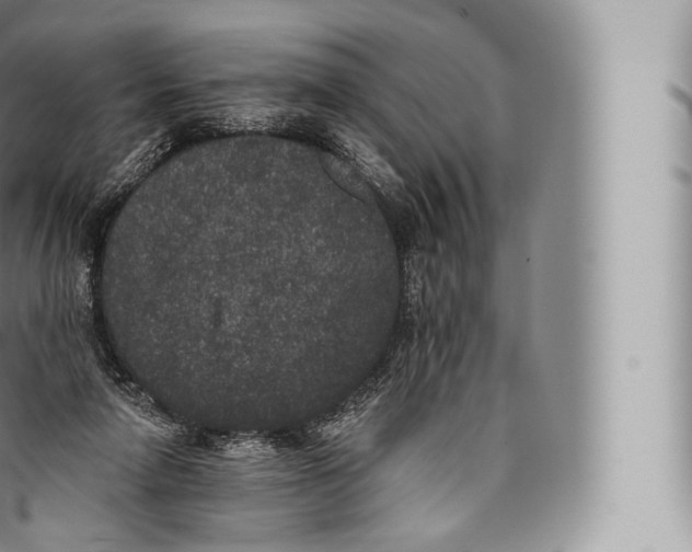 X0000096490258200802141753