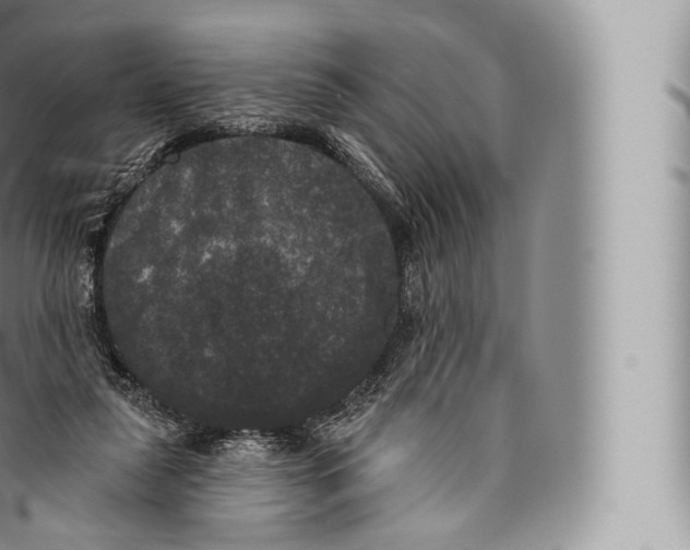 X0000096490259200802141753