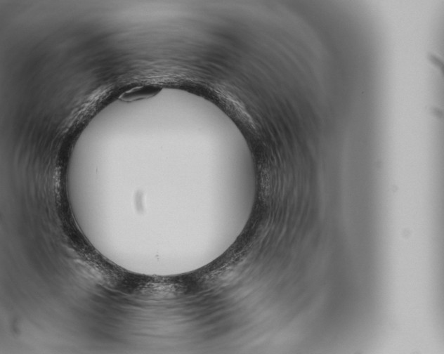 X0000096490260200802141753