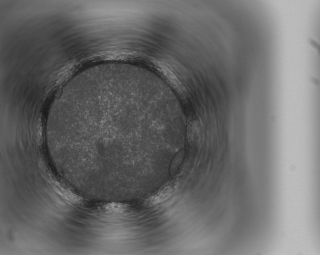 X0000096490261200802141753