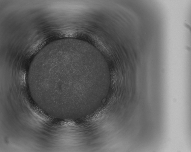 X0000096490262200802141753