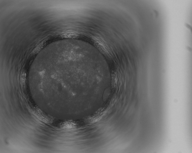 X0000096490263200802141753