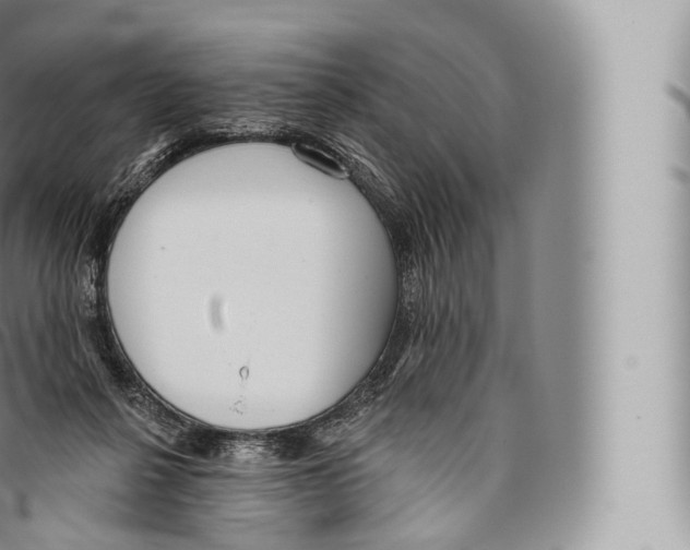 X0000096490264200802141753