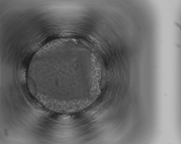 X0000096490267200802141753