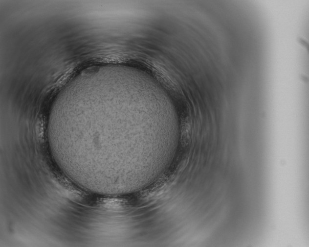 X0000096490268200802141753