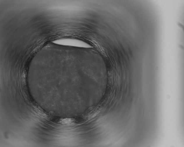 X0000096490269200802141753