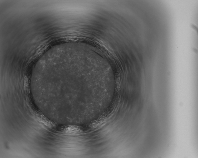 X0000096490270200802141753