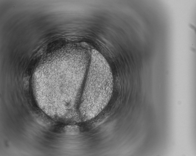 X0000096490271200802141753