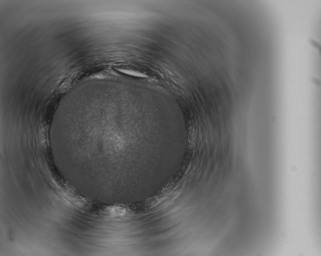 X0000096490272200802141753