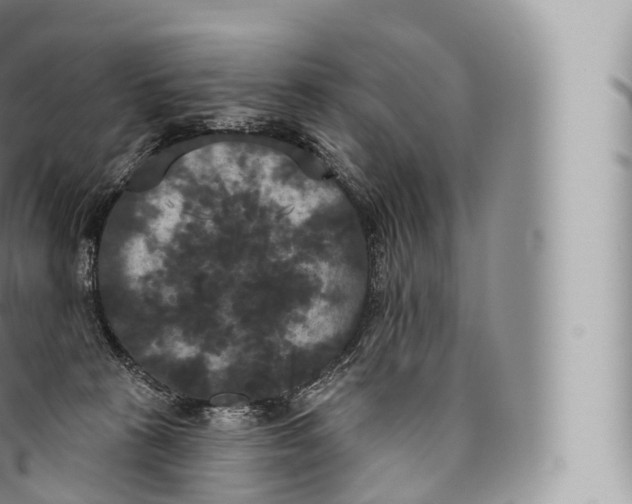 X0000096490273200802141753