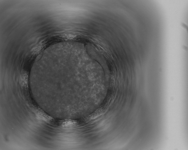 X0000096490274200802141753