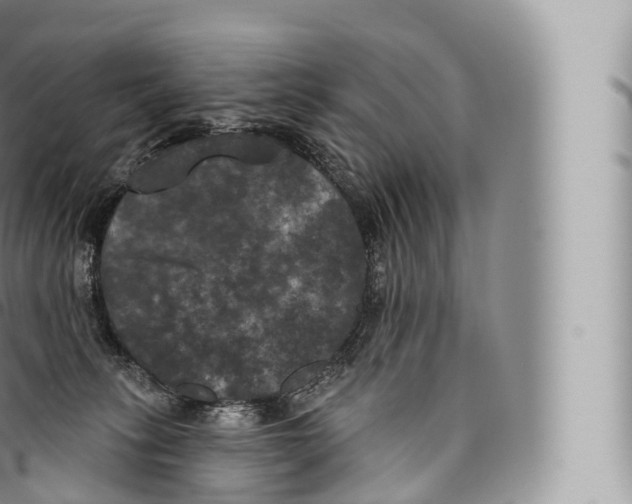 X0000096490275200802141753