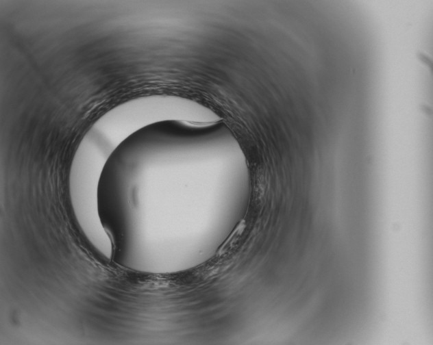 X0000096490276200802141753