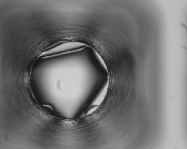 X0000096490277200802141753