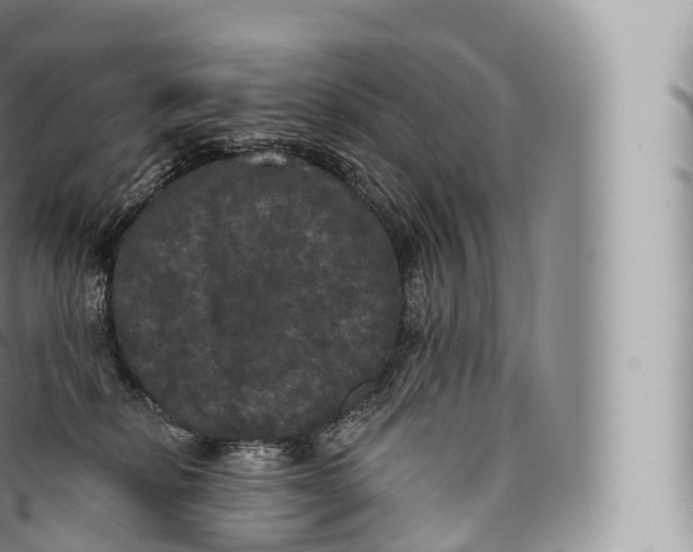 X0000096490278200802141753