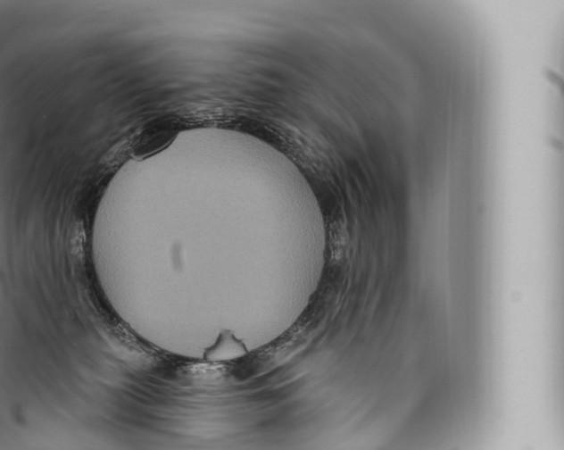 X0000096490279200802141753