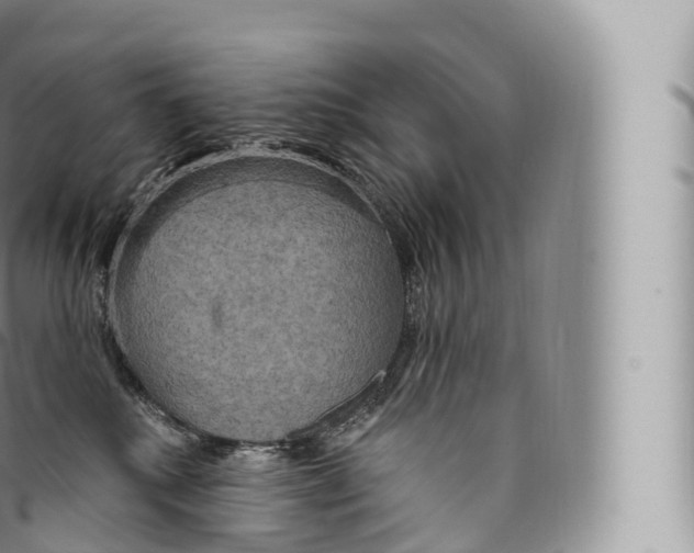 X0000096490280200802141753