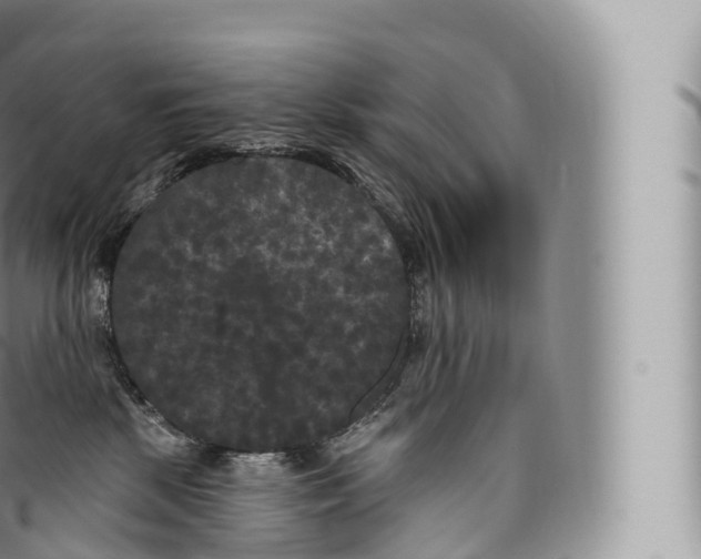 X0000096490281200802141753