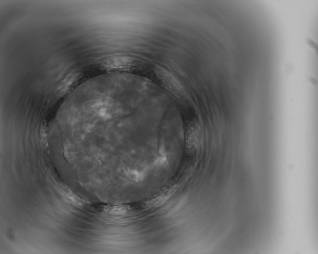 X0000096490282200802141753