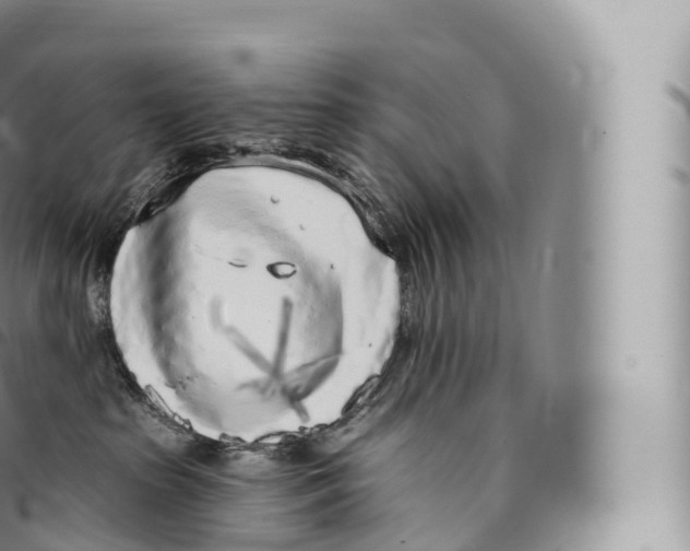 X0000096490285200802141753