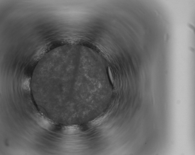 X0000096490286200802141753