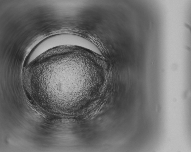 X0000096490292200802141752