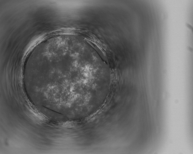 X0000096490293200802141752