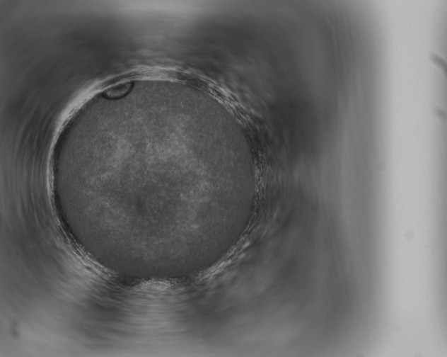 X0000096490294200802141752