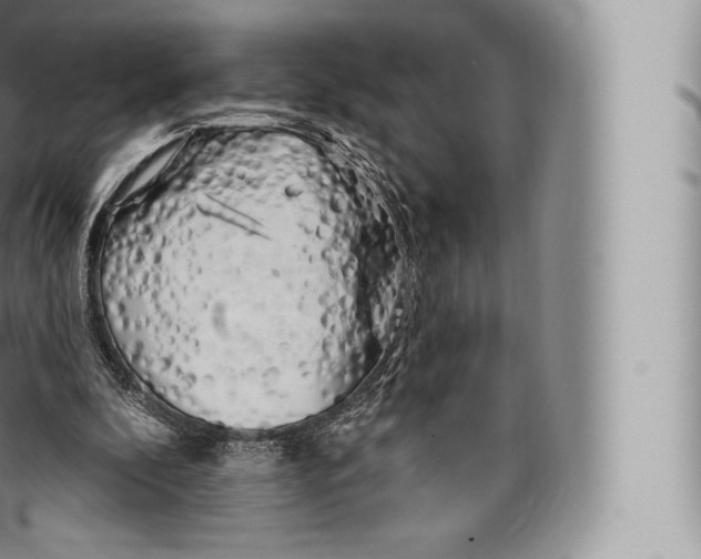 X0000096490296200802141752