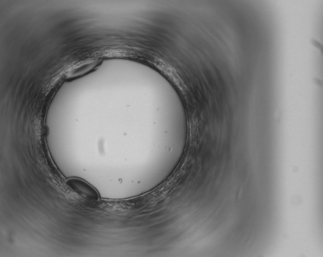 X0000096490297200802141752