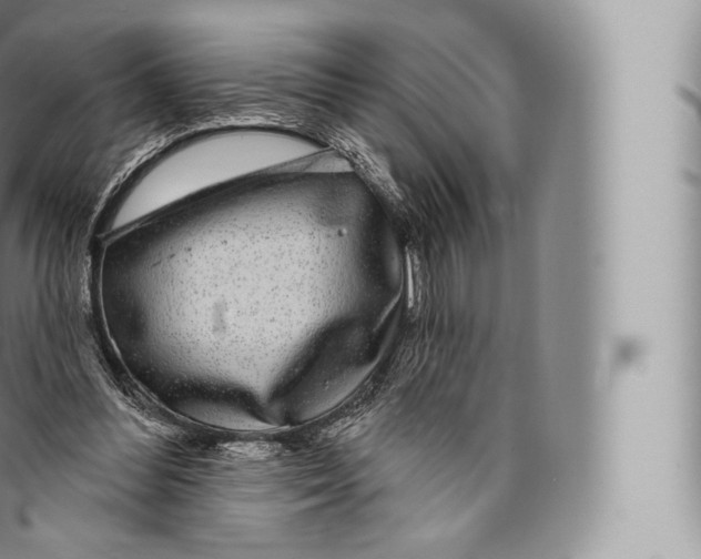 X0000096490300200802141752