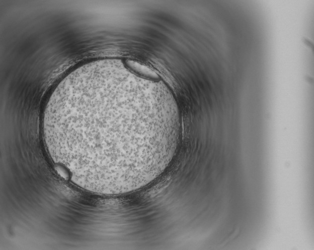 X0000096490301200802141752