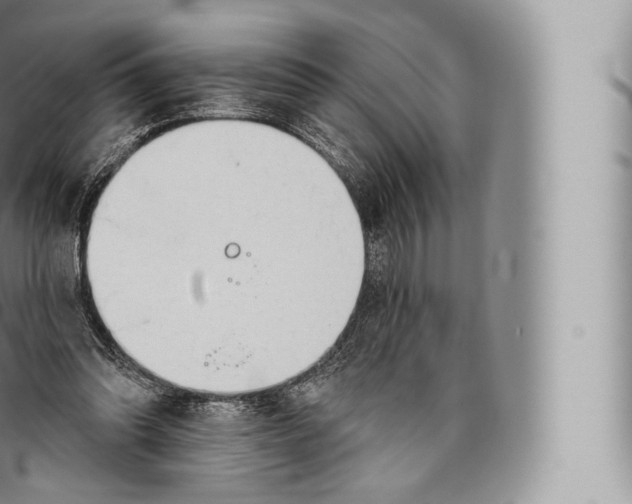 X0000096490302200802141752