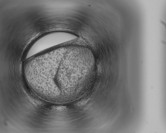 X0000096490304200802141752