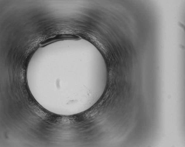 X0000096490305200802141752