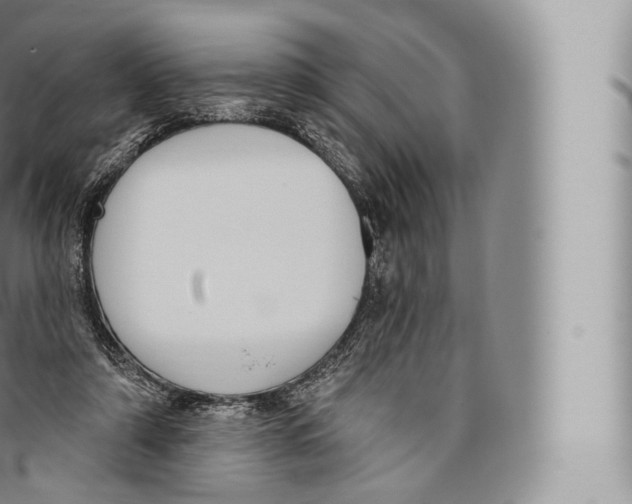 X0000096490306200802141752