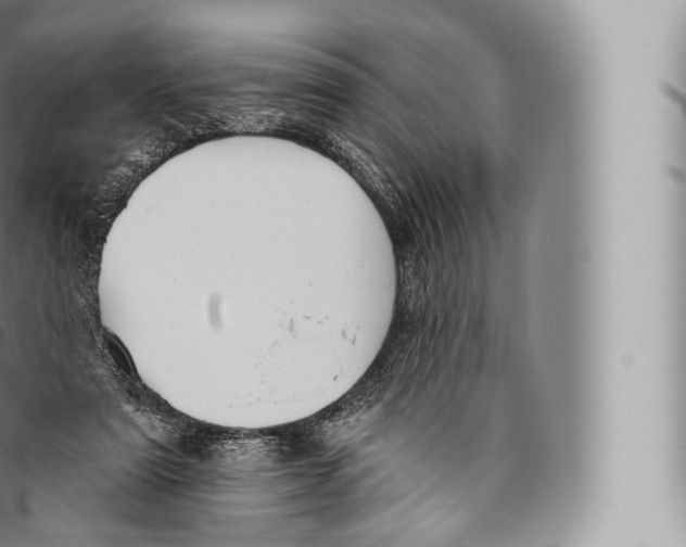 X0000096490307200802141752