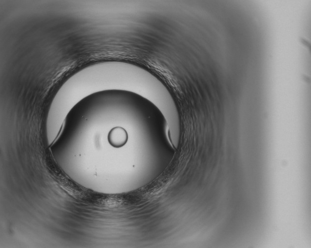 X0000096490308200802141752