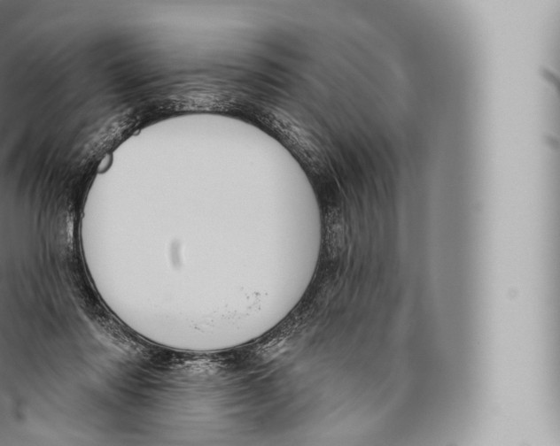 X0000096490310200802141752