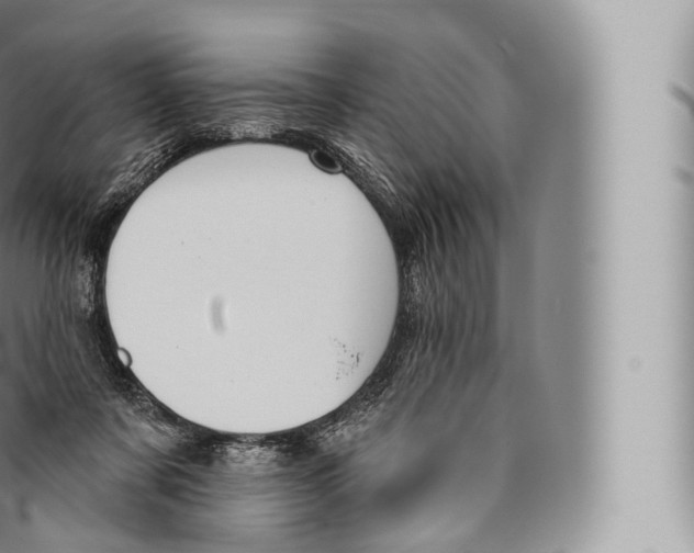 X0000096490311200802141752