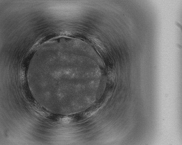 X0000096490312200802141752