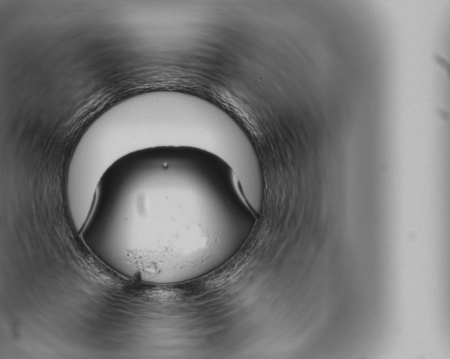 X0000096490313200802141752