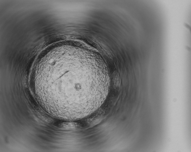 X0000096490316200802141752