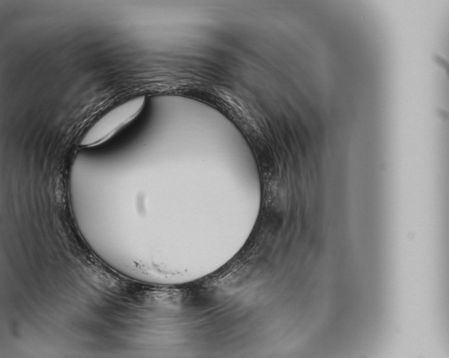 X0000096490317200802141752