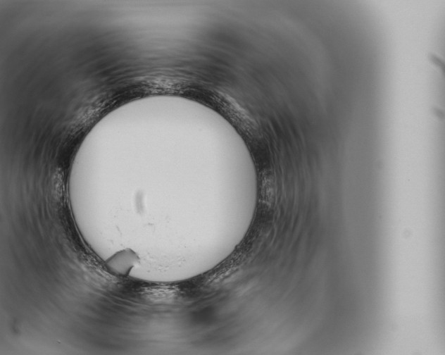 X0000096490318200802141752