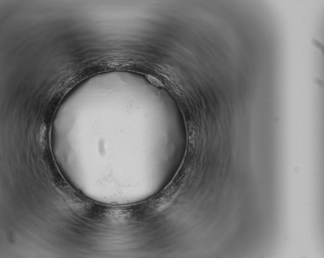 X0000096490319200802141752