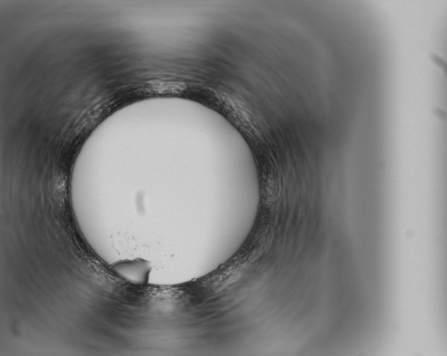 X0000096490321200802141752