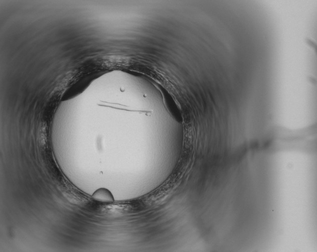 X0000096490323200802141752